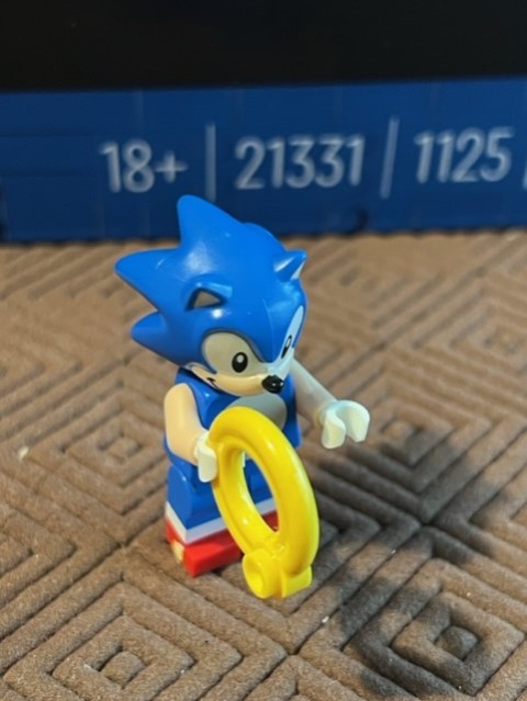 sonic_leg19