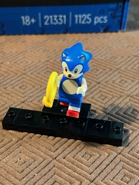 sonic_leg20