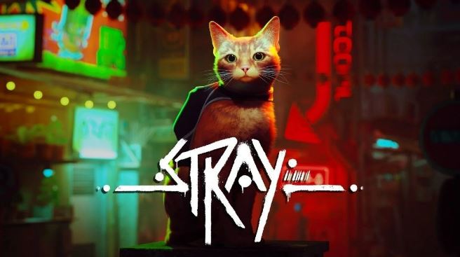 stray